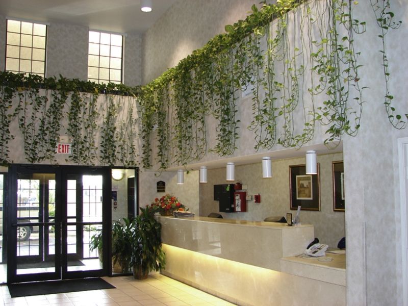 Quality Inn & Suites Airport オースティン エクステリア 写真